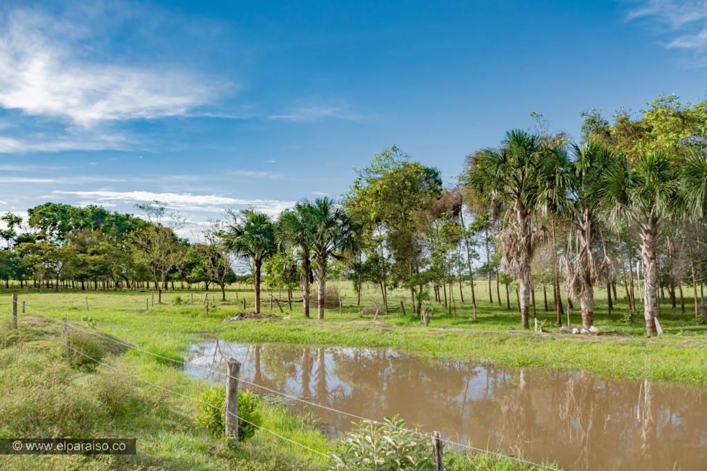 Foto 1 de la experiencia en El Trigal del Llano