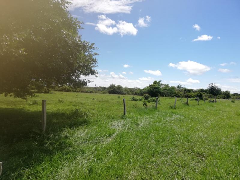 Foto 2 de la experiencia en El Trigal del Llano