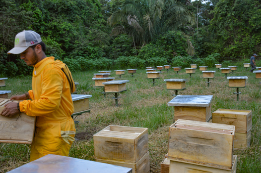 Foto 2 de la experiencia en Finca Brisas del Llano