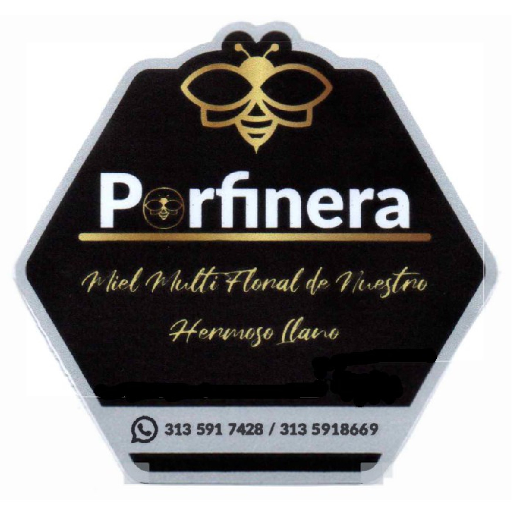 Logo PORFINERA