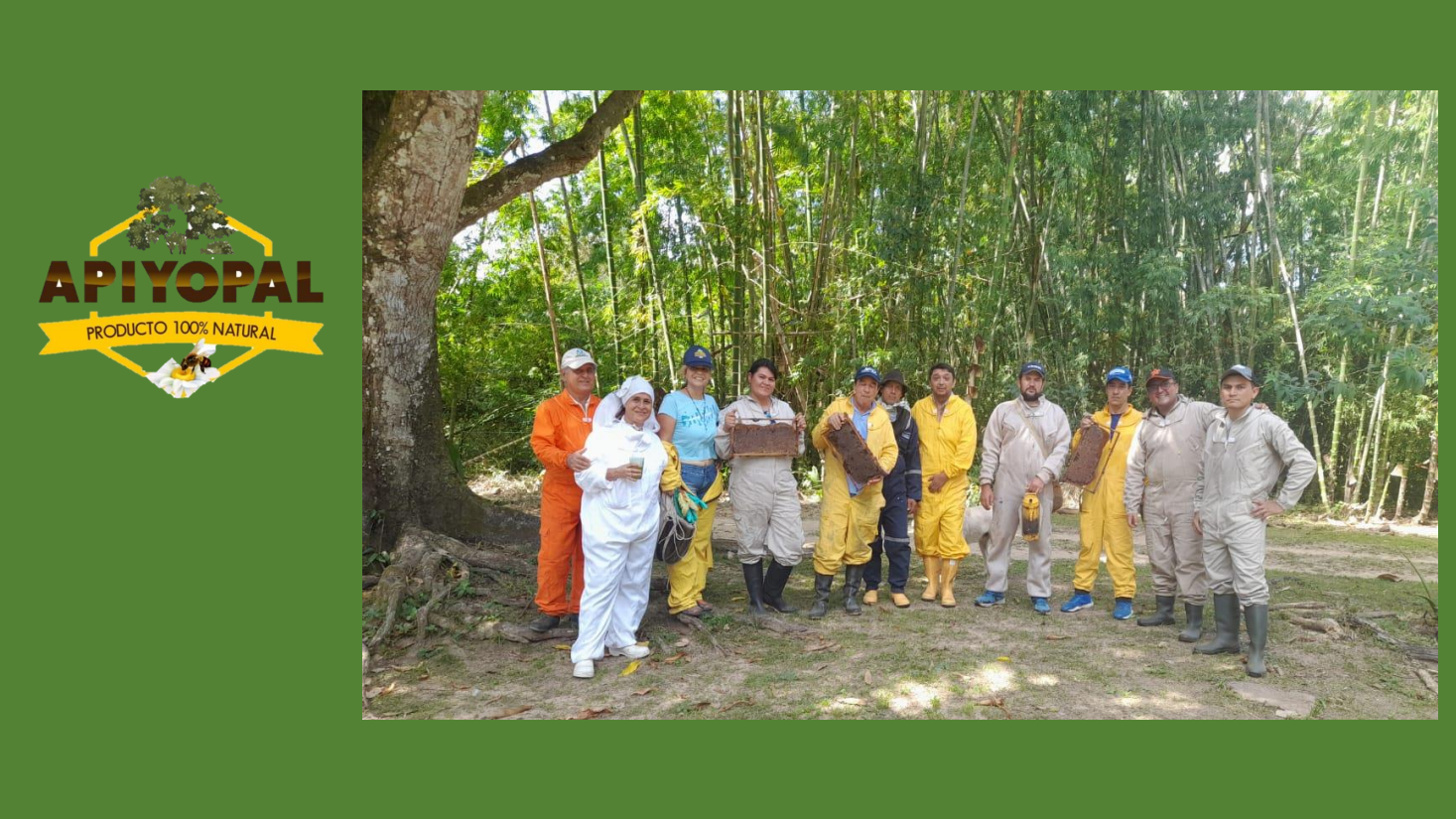 Equipo APIYopal